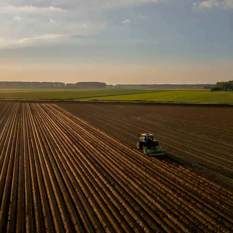 Campo y Agro en Todoagro Helvecia